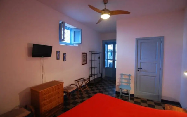 Cannella Studio