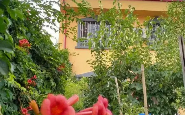 Yining Xiexie Homestay
