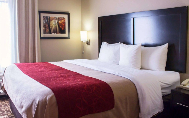 Comfort Inn & Suites Trussville I-59 exit 141