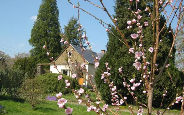 Ferienhaus Sperlingsruh