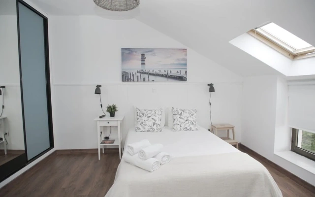Fin Surf House