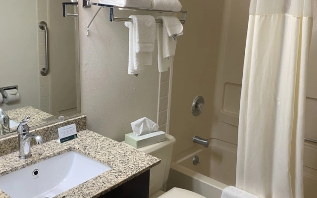 Quality Inn Morton