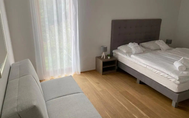 Residence Bellevue by Alpin Rentals - incl Summercard