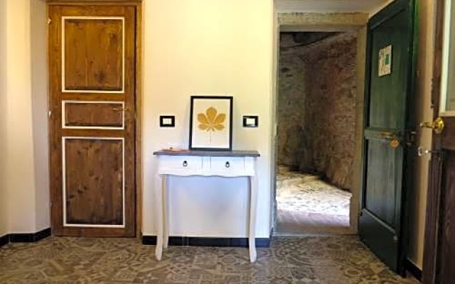 Il volto