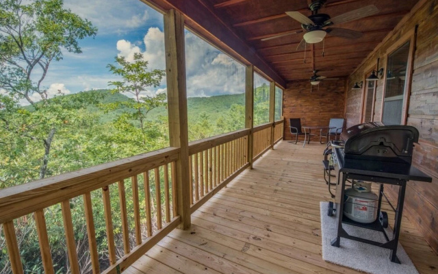 Dogwood Dream- Mineral Bluff