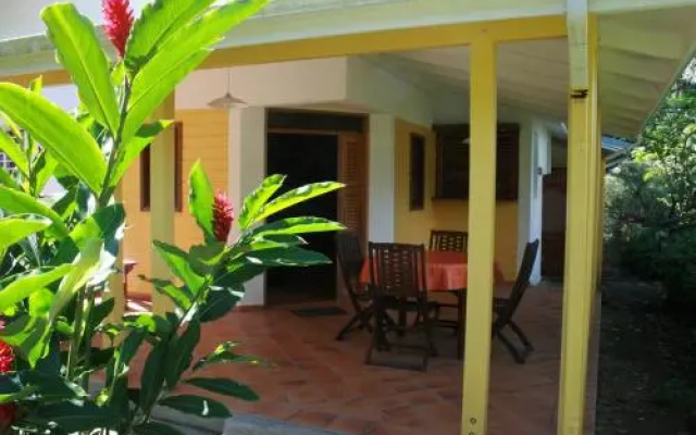 Les Cycas