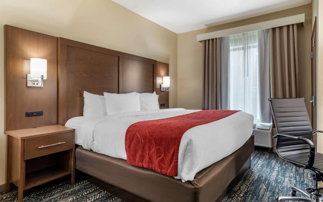 Comfort Inn & Suites Downtown near University