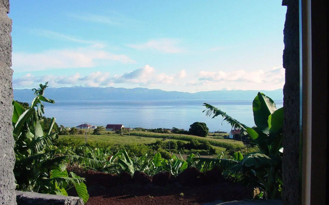 Adegas do Pico