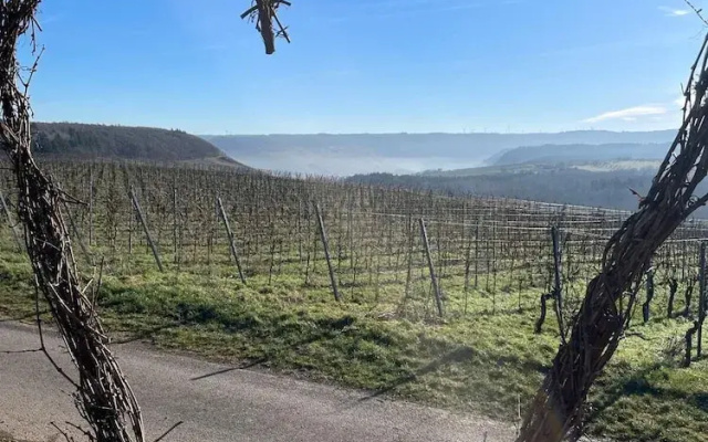 Ferienwohnungen Moselblick Bekond
