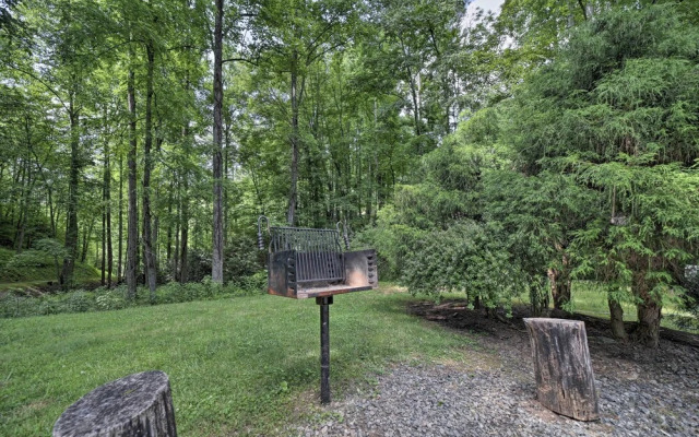 Historic Mountain Cabin: Grill & Hiking Trail!