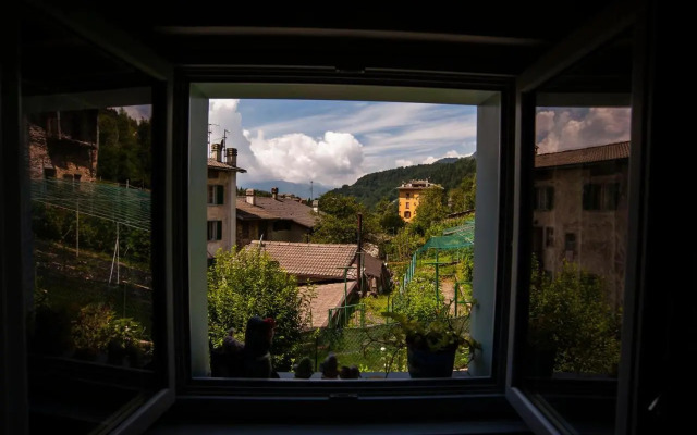 Il Bosco dei 100 Acri