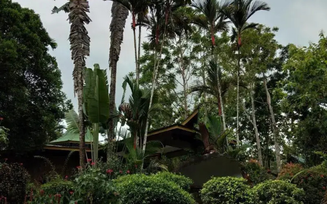 Sepilok Jungle Resort