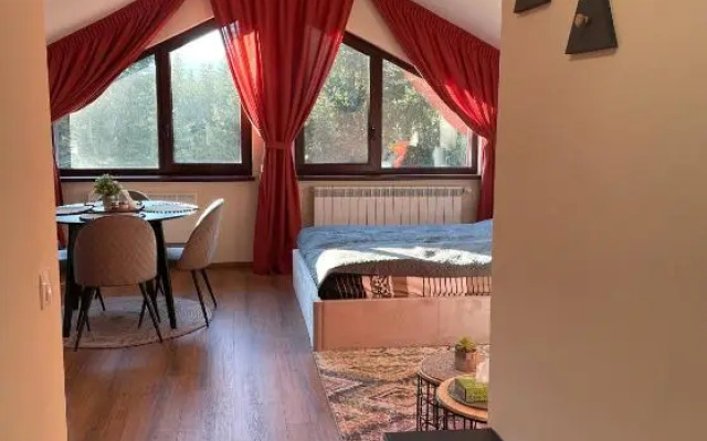Rustic Mountain Apartment - A55