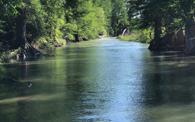 Wild Arrow Ranch