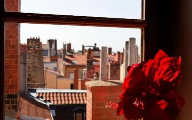 Les Toits de Lyon