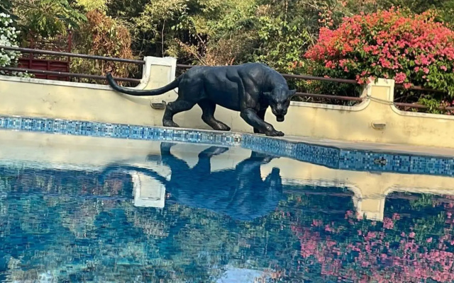 Irai Safari Retreat