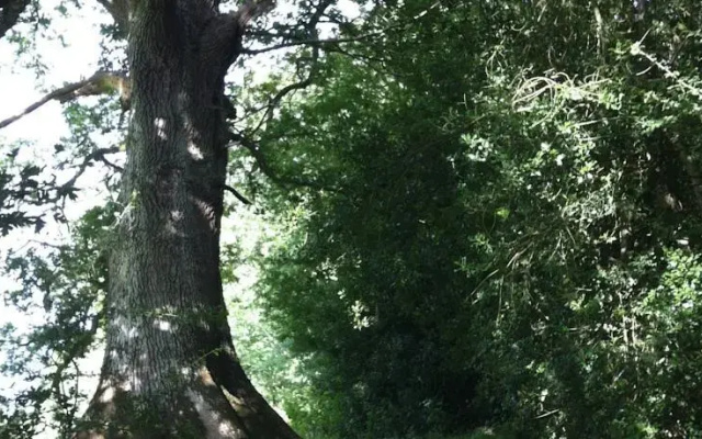 Newburn Farm
