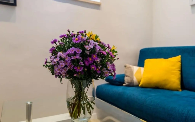 Apartment Tereza