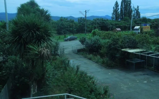 Zaza Apartment on Abashidze