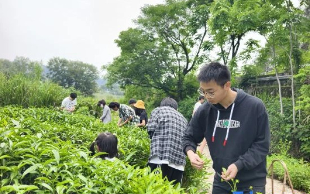 Floral Hotel·Xincheng Hotel in Wuyi Mountain Hotel