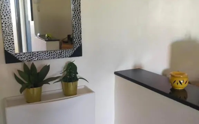 Entire Apartment