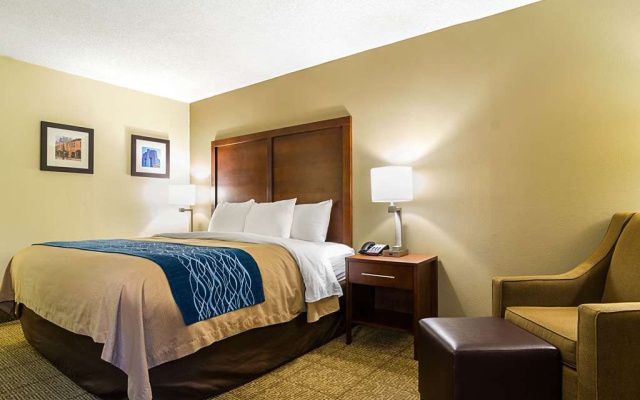 Comfort Inn Medical Park