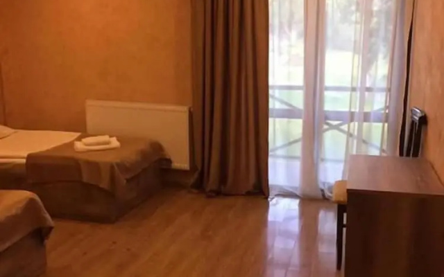 Отель Gera