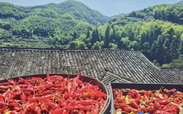 Yungu Shanfang Hostel
