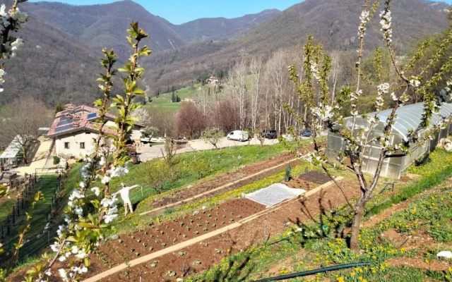 Agriturismo Cafenile