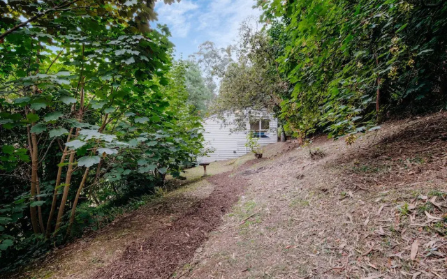 Steep Creek Retreat
