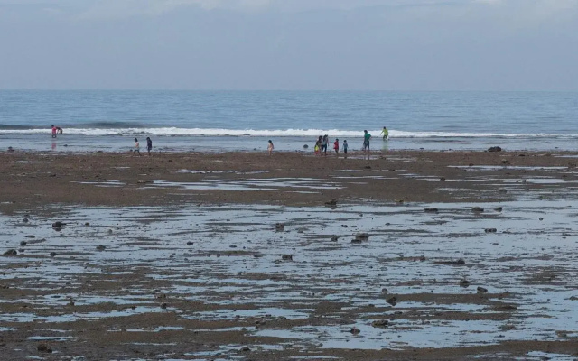 The Reef 077