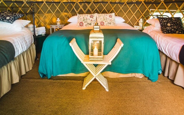 Pine - Shep Hut -Glamping
