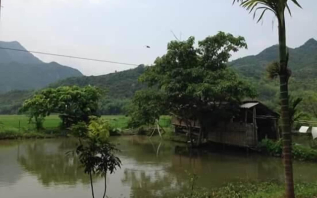 Hung Mech Homestay