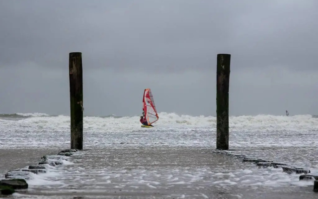 Boszicht aan de Kust 2