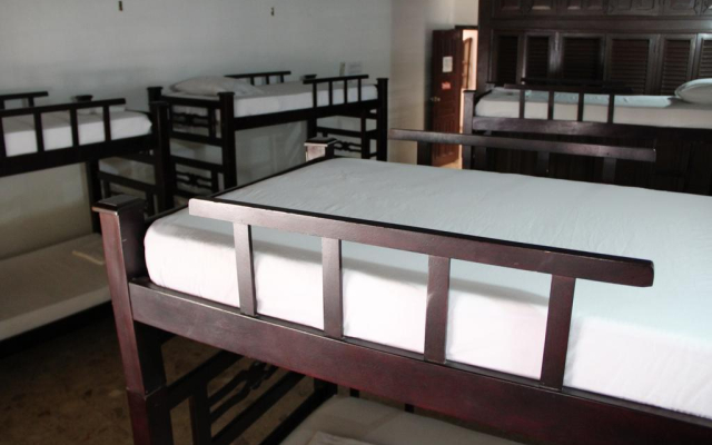 Drop Bear Hostel