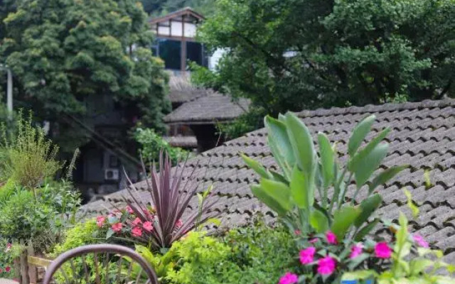 Wow. Wenxi Wawu Private Hot Spring Homestay