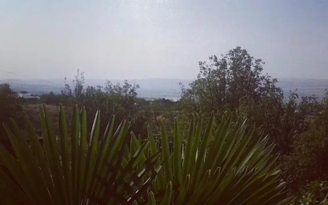 Villa David