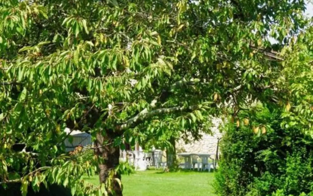 Domaine les Messauts - Gîte le Figuier
