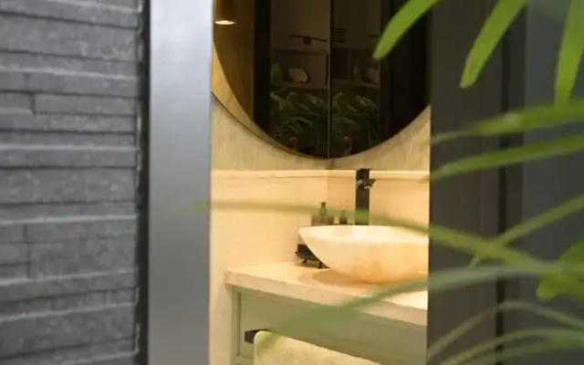 Ceiba 7
