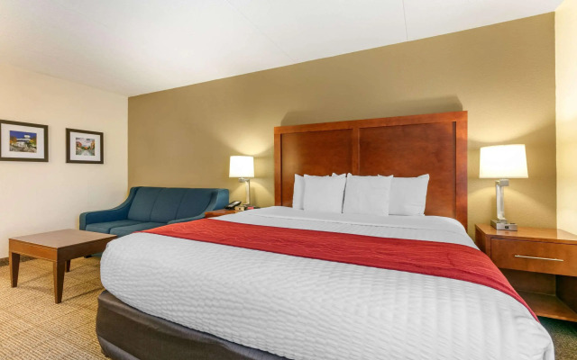 Comfort Inn Chattanooga Downtown Southside