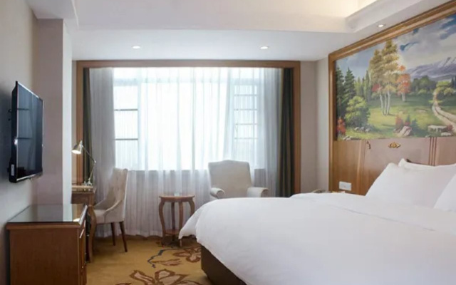Vienna Hotel (Dongguan Dalingshan baihuadong store)