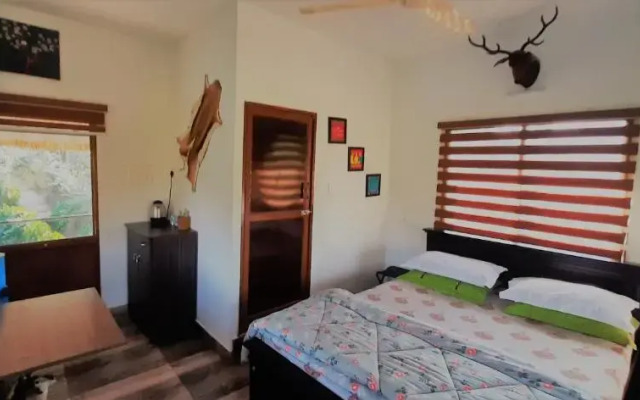 Noah's Nest Tree House