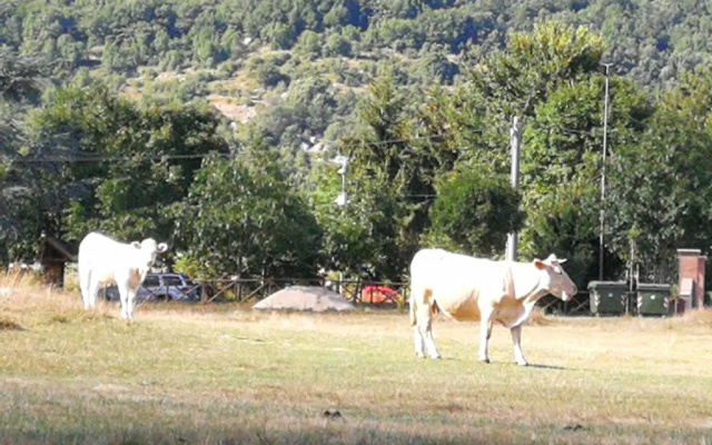 Casa di Josè e Miriam