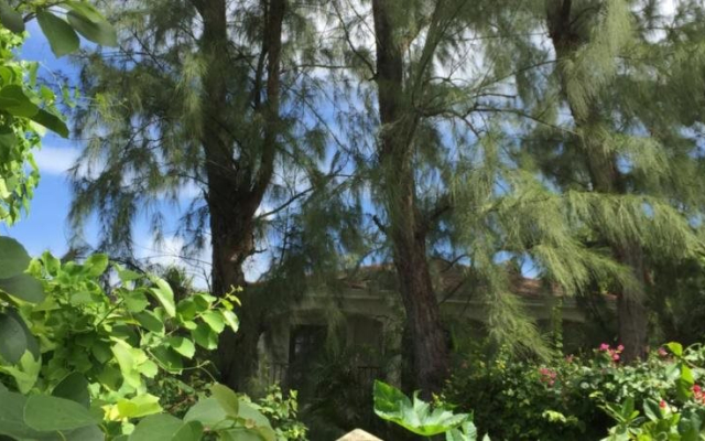 The Stewart House Bed & Breakfast