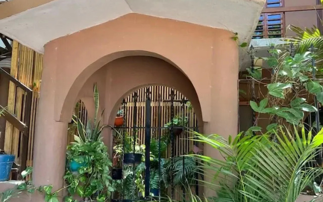 guiba. puerto escondido