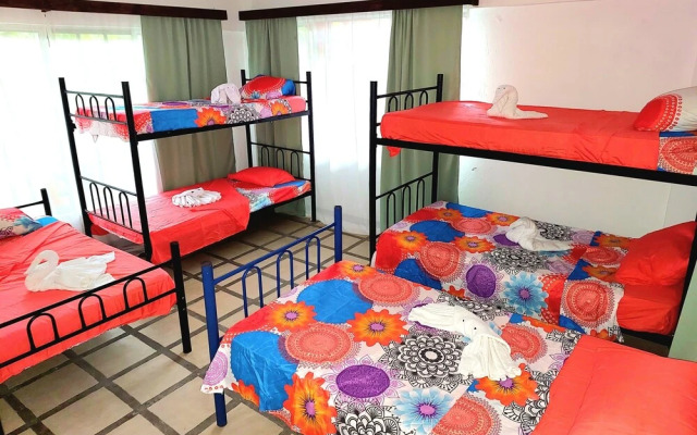 Pura Vida Hostel Manuel Antonio