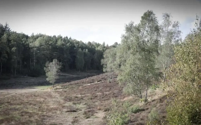 Pets Welcome, Veluwe Farmhouses for All