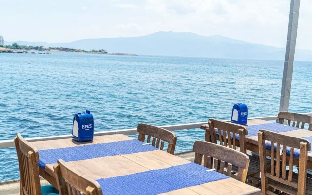 Assos Vi̇lla Natura