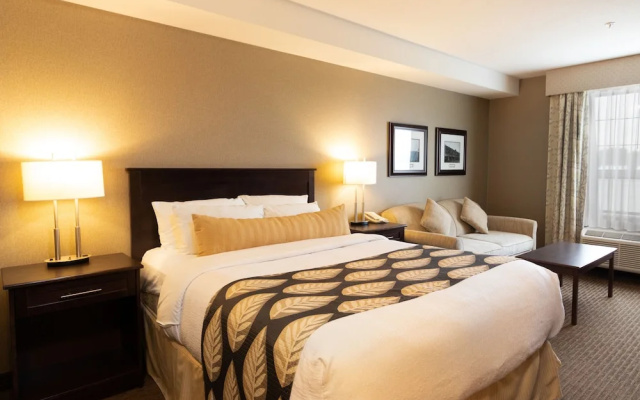Musgrave Agencies Hospitality Inns And Suites
