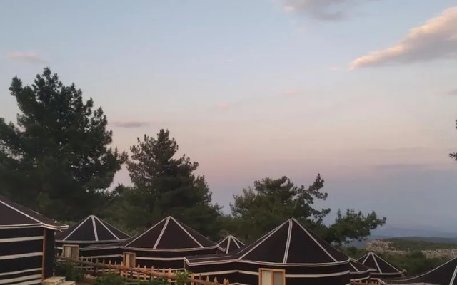 Pozitif Koy